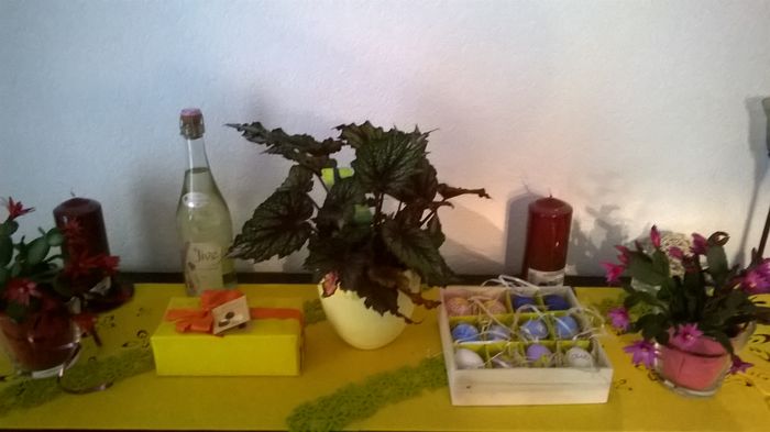 WP_20160323_08_26_06_Pro