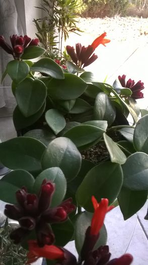 WP_20160323_08_26_53_Pro