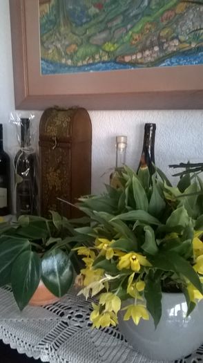 WP_20160323_08_27_30_Pro