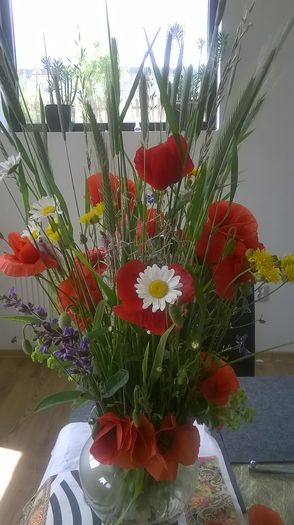 WP_20150526_11_41_08_Pro