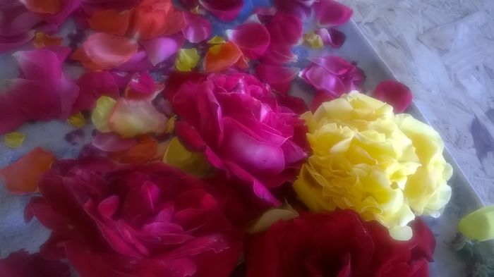 WP_20150612_08_42_38_Pro