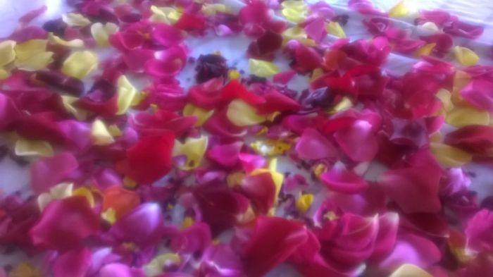 WP_20150612_08_48_25_Pro