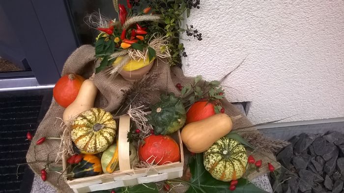 WP_20150922_08_27_42_Pro