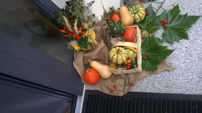 WP_20150922_08_29_36_Pro