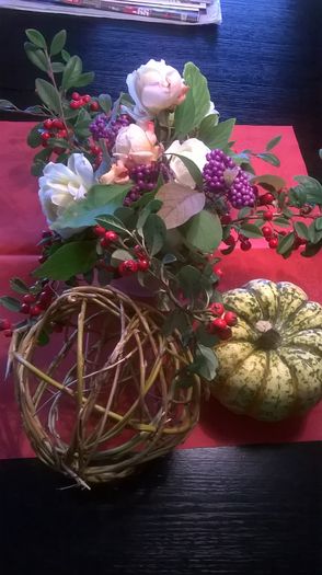 WP_20151005_12_54_28_Pro