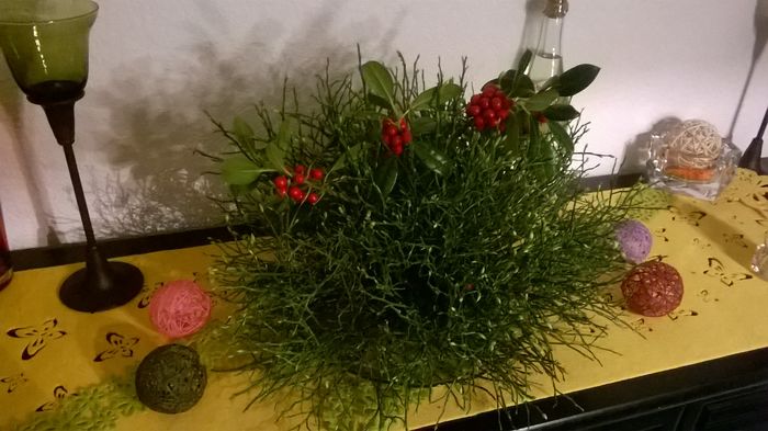 WP_20160223_07_41_04_Pro