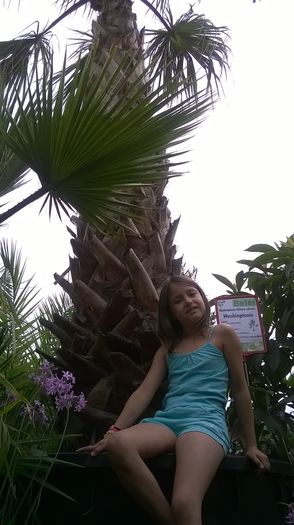 WP_20140523_00_22_45_Pro