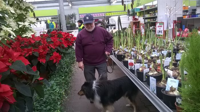 WP_20141213_10_31_50_Pro