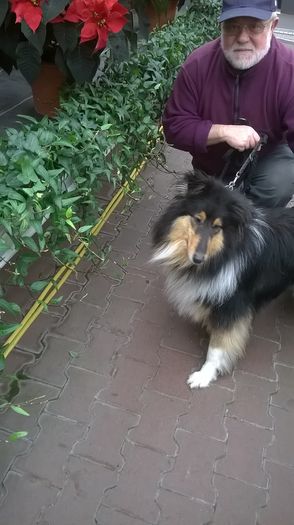 WP_20141213_10_32_07_Pro