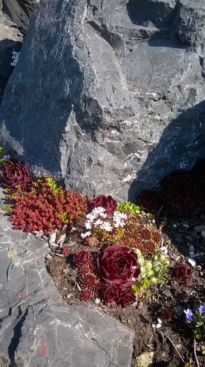 WP_20160502_11_22_41_Pro