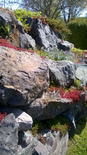 WP_20160502_11_23_00_Pro