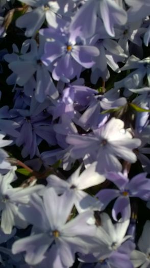 WP_20160502_11_23_36_Pro