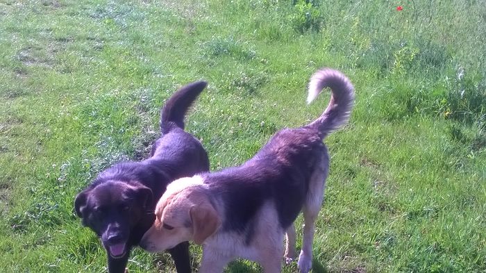 WP_20150528_09_11_06_Pro