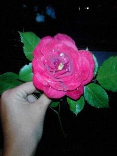 received_1084788408309018