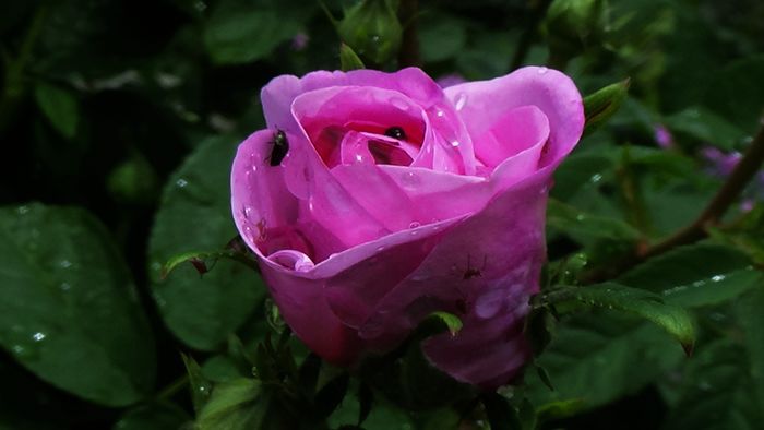 DSC02046