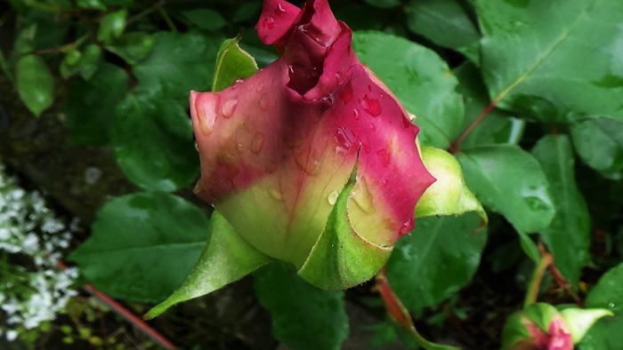DSC02052