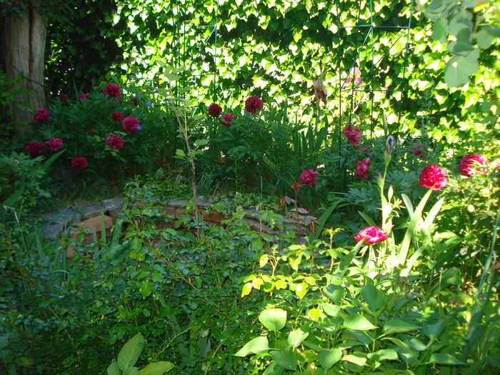 DSC02126