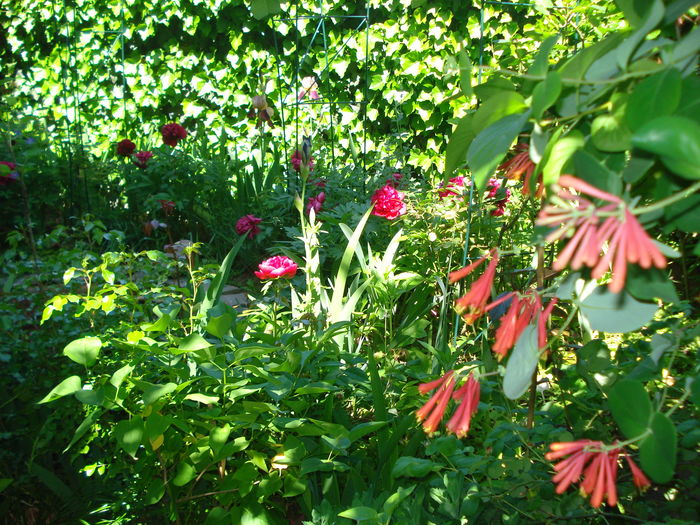 DSC02125