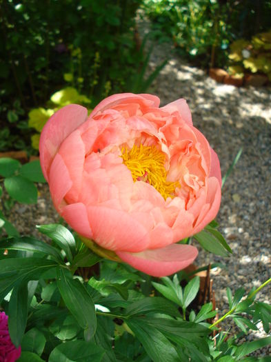 DSC02201