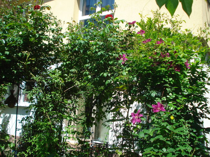 DSC02080
