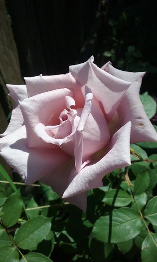 047