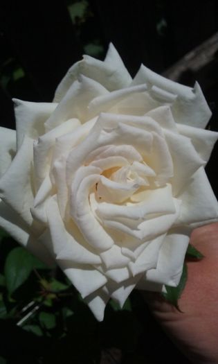 053