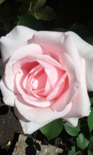 065