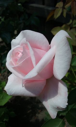 042