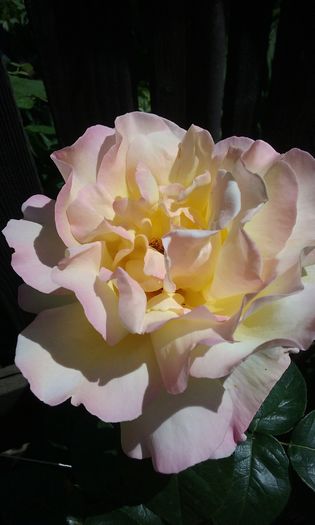 069