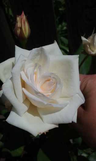 078