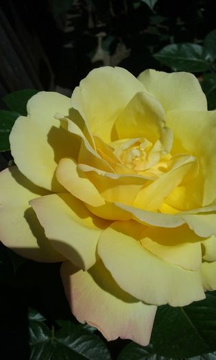 046