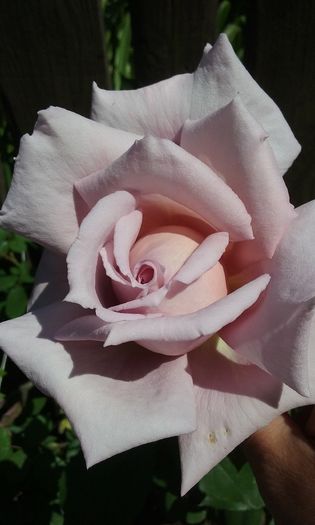 076