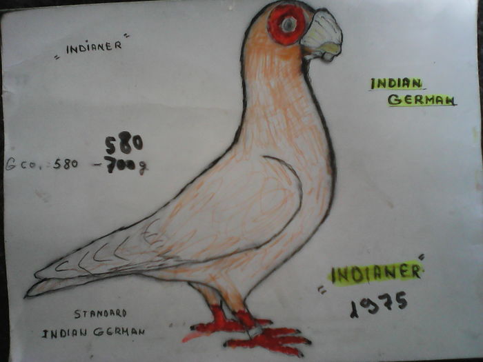 INDIANER sau INDIANUL  GERMAN - aranjare poze