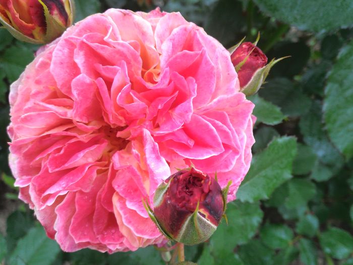 P_20160516_114412_HDR