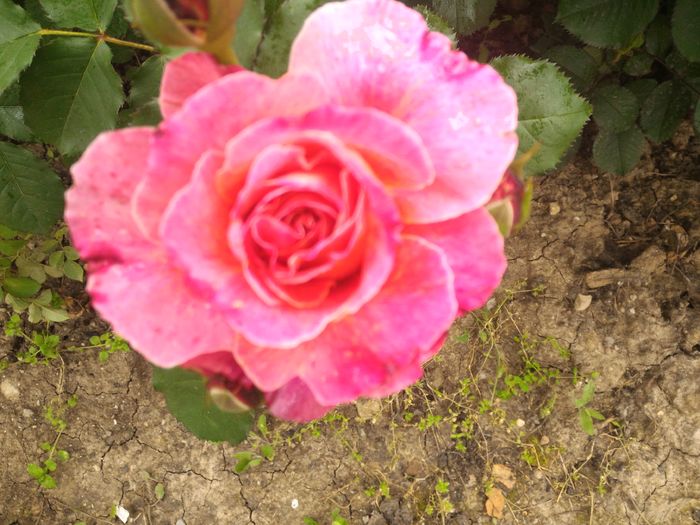 P_20160516_114353_HDR