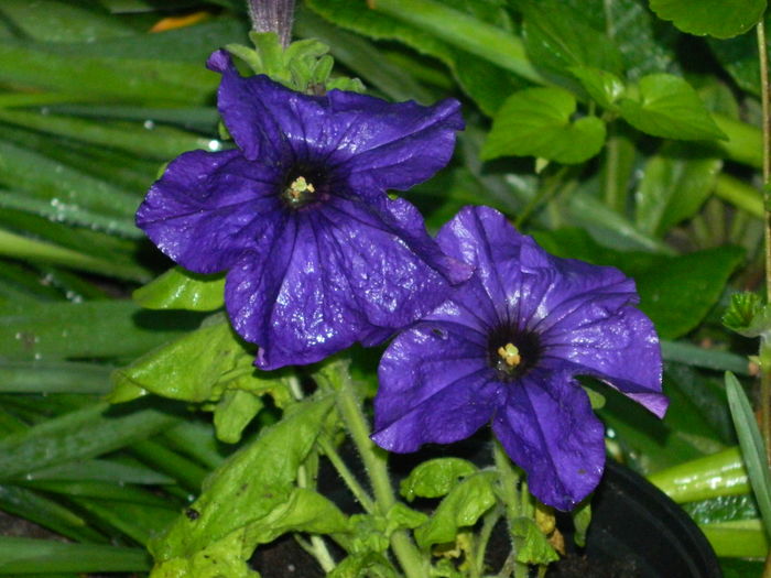 DSCN8624