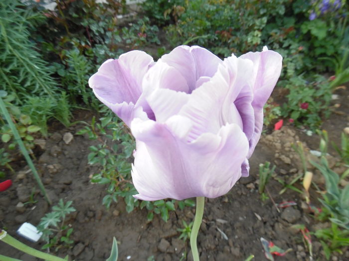 045