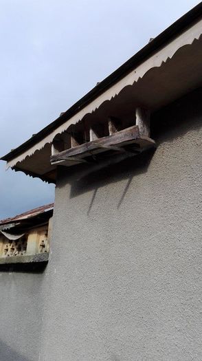 13250432_947556815357168_1910448671_n