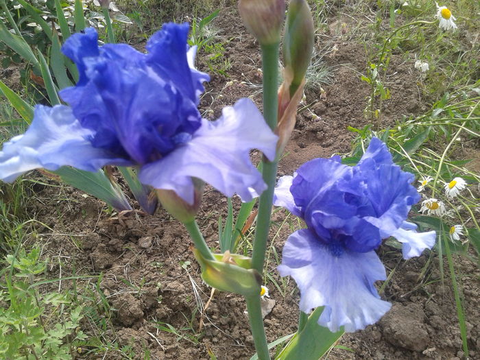 20160516_152732
