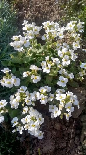 WP_20160402_09_54_54_Pro