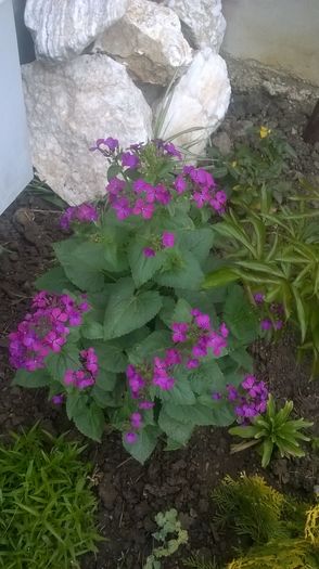 WP_20160410_07_42_46_Pro