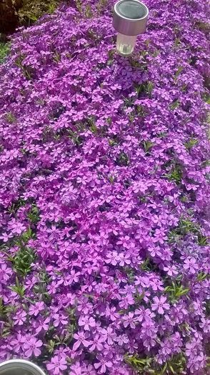 WP_20160417_11_40_03_Pro