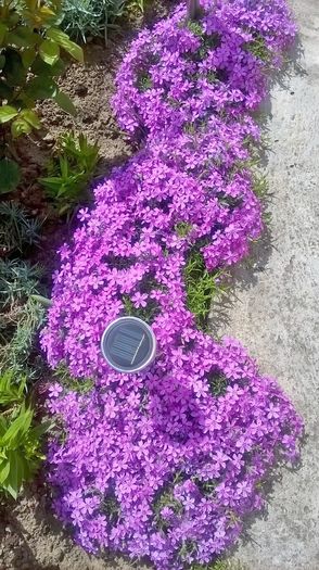 WP_20160417_11_40_24_Pro