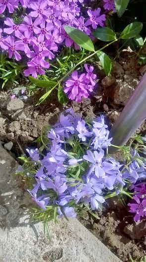 WP_20160417_11_40_38_Pro