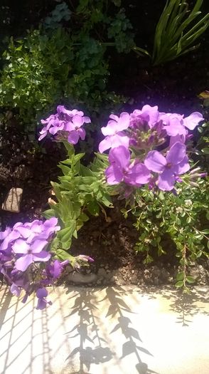 WP_20160506_18_26_18_Pro