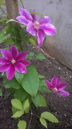 WP_20160516_11_53_40_Pro