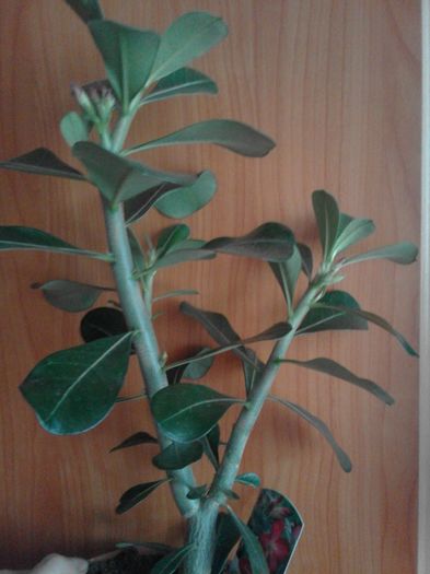 20160516_104949