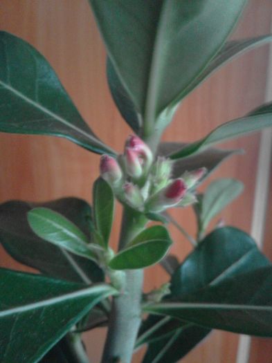 20160516_104959