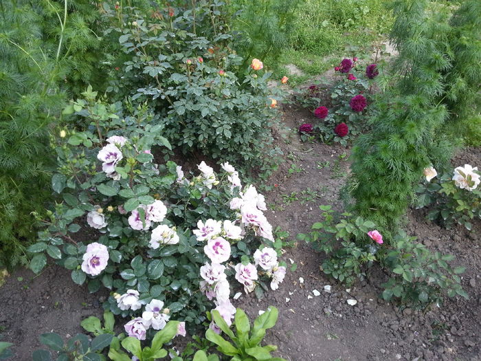20160515_174513[1]