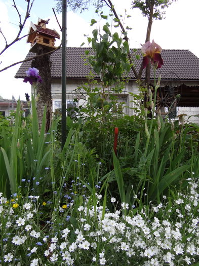  - E Florar in calendar